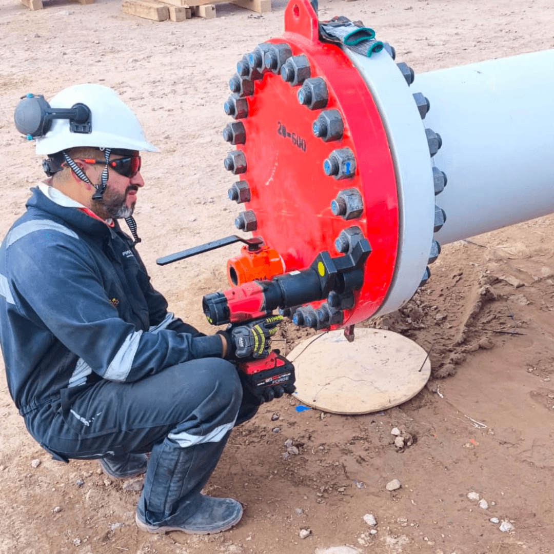 Servicio de Torque